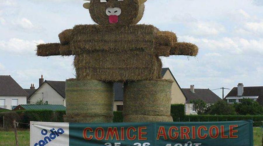 Les activites du comice agricole devoilees